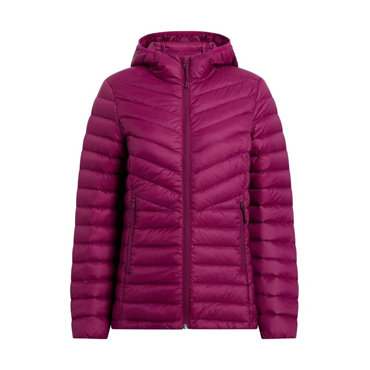 Mckinley  Arlo  Bordó