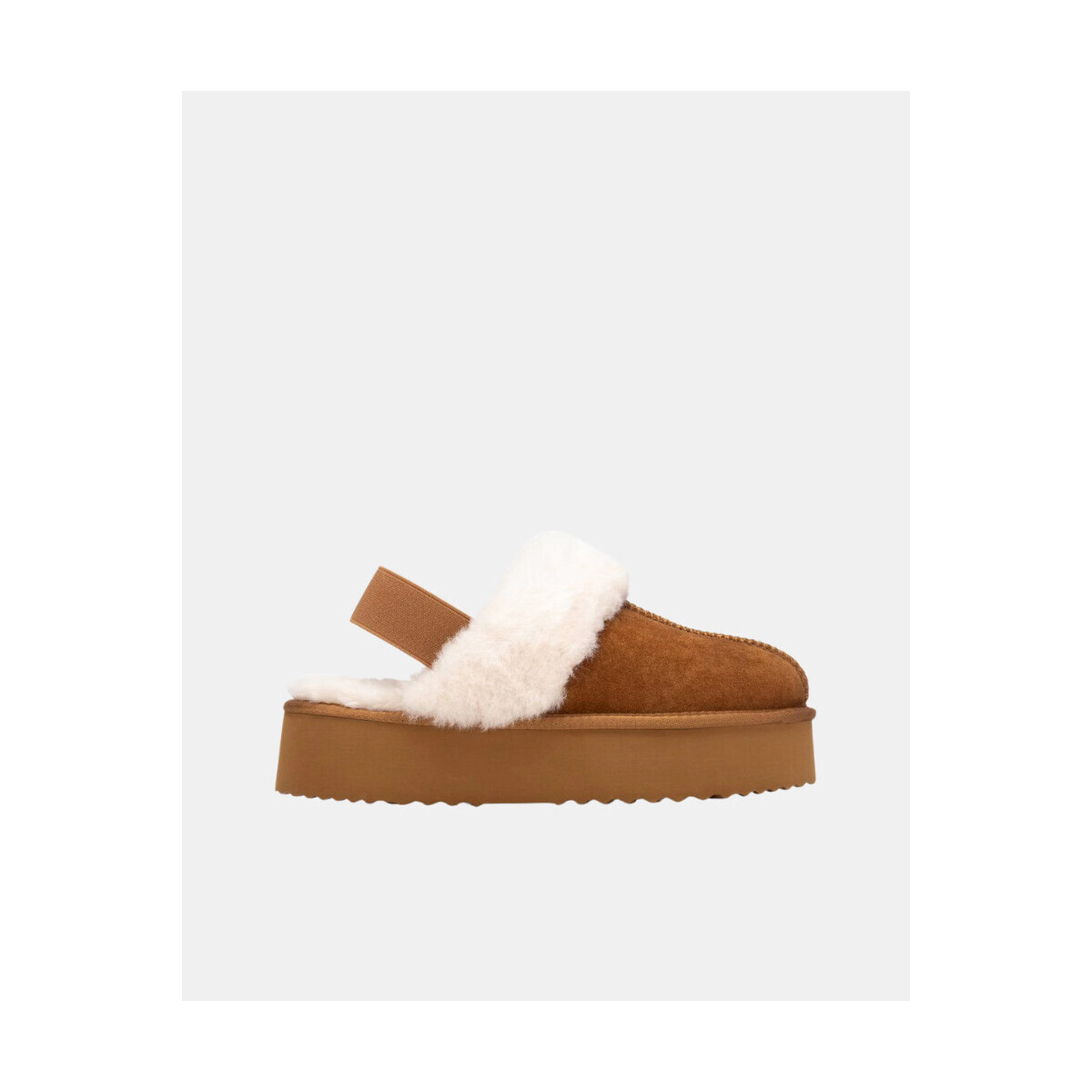 Xti  144440  Hnědá