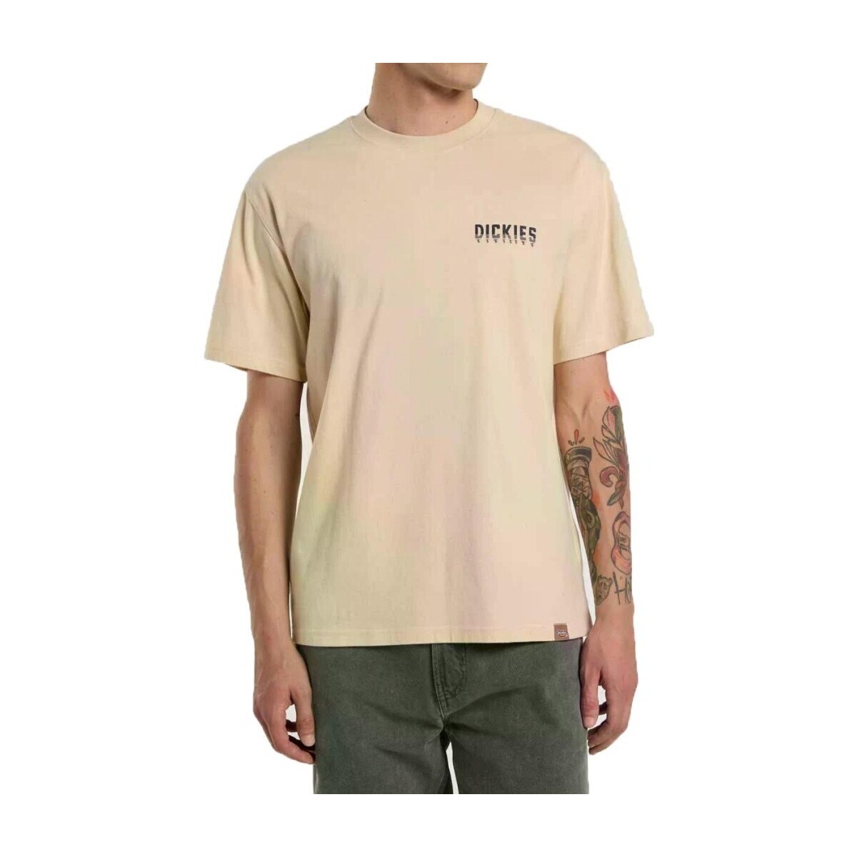 Dickies  PELHAM TEE  Béžová