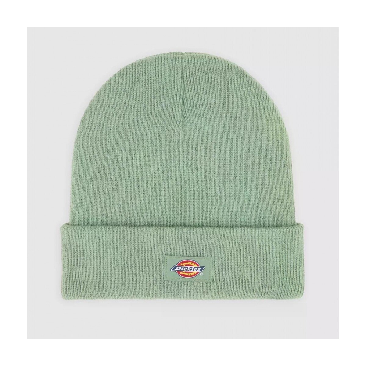 Dickies  GIBSLAND  Zelená