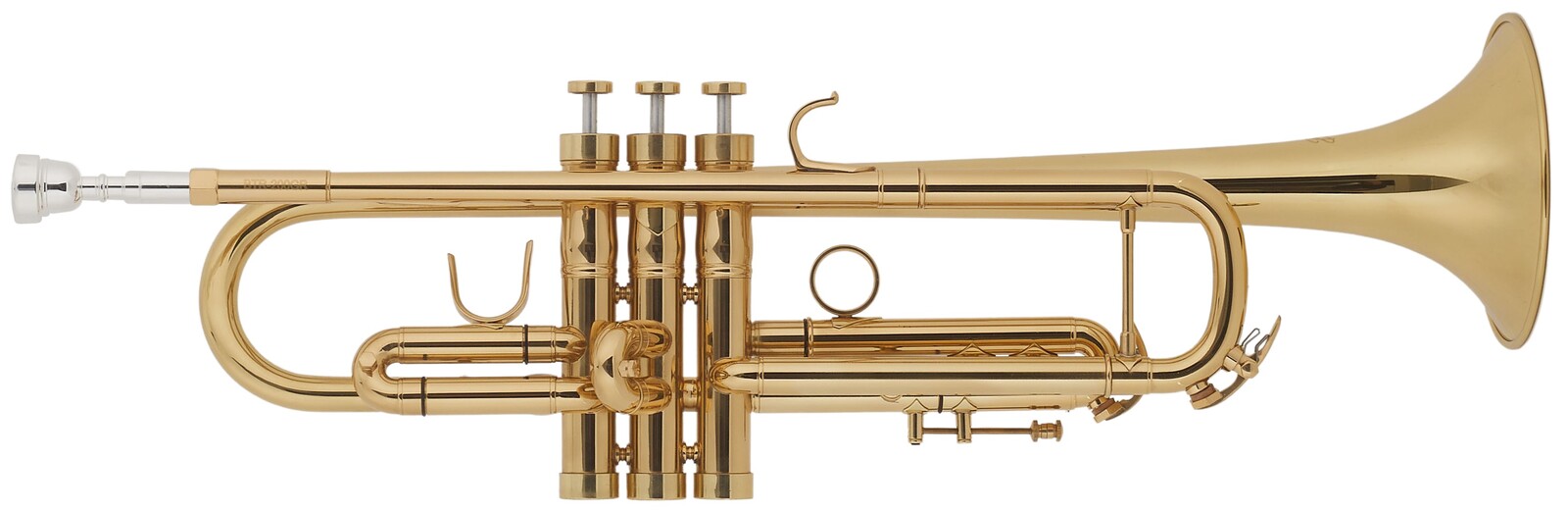 Bacio Instruments BTR-200GR