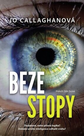 Beze stopy - Jo Callaghan - e-kniha
