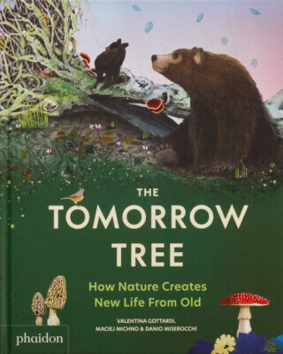 The Tomorrow Tree - Danio Miserocchi, Maciej Michno