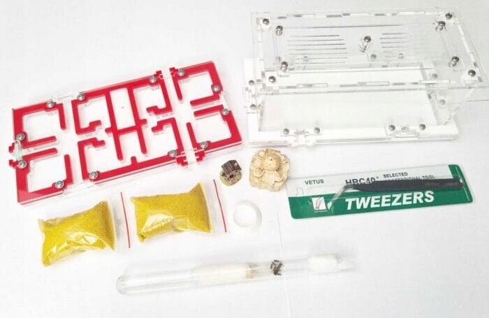 Sada Twenty pro chov mravenců z formikária Vzdělávací sada