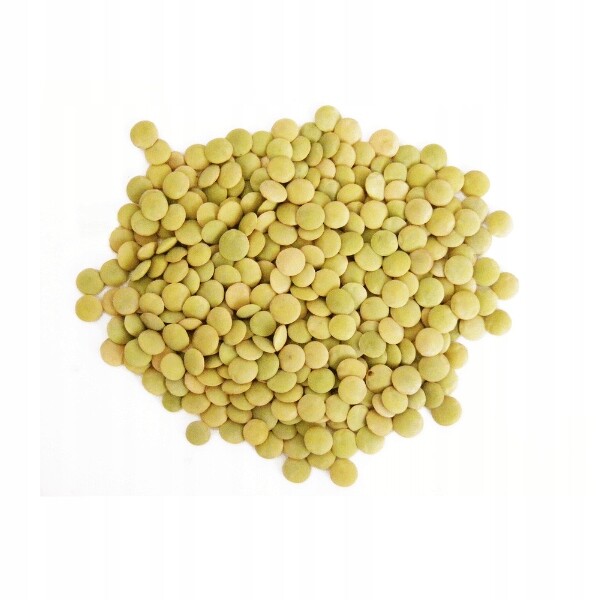 Zelená čočka Larida 10 kg – vysoká kvalita Tola
