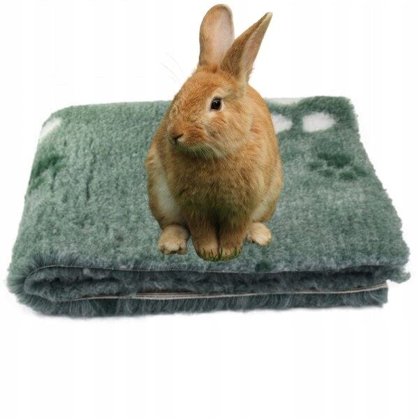 Dry Bed A+ 75X100CM Pelíšek Mátový S Tlapkami Duo Blovi