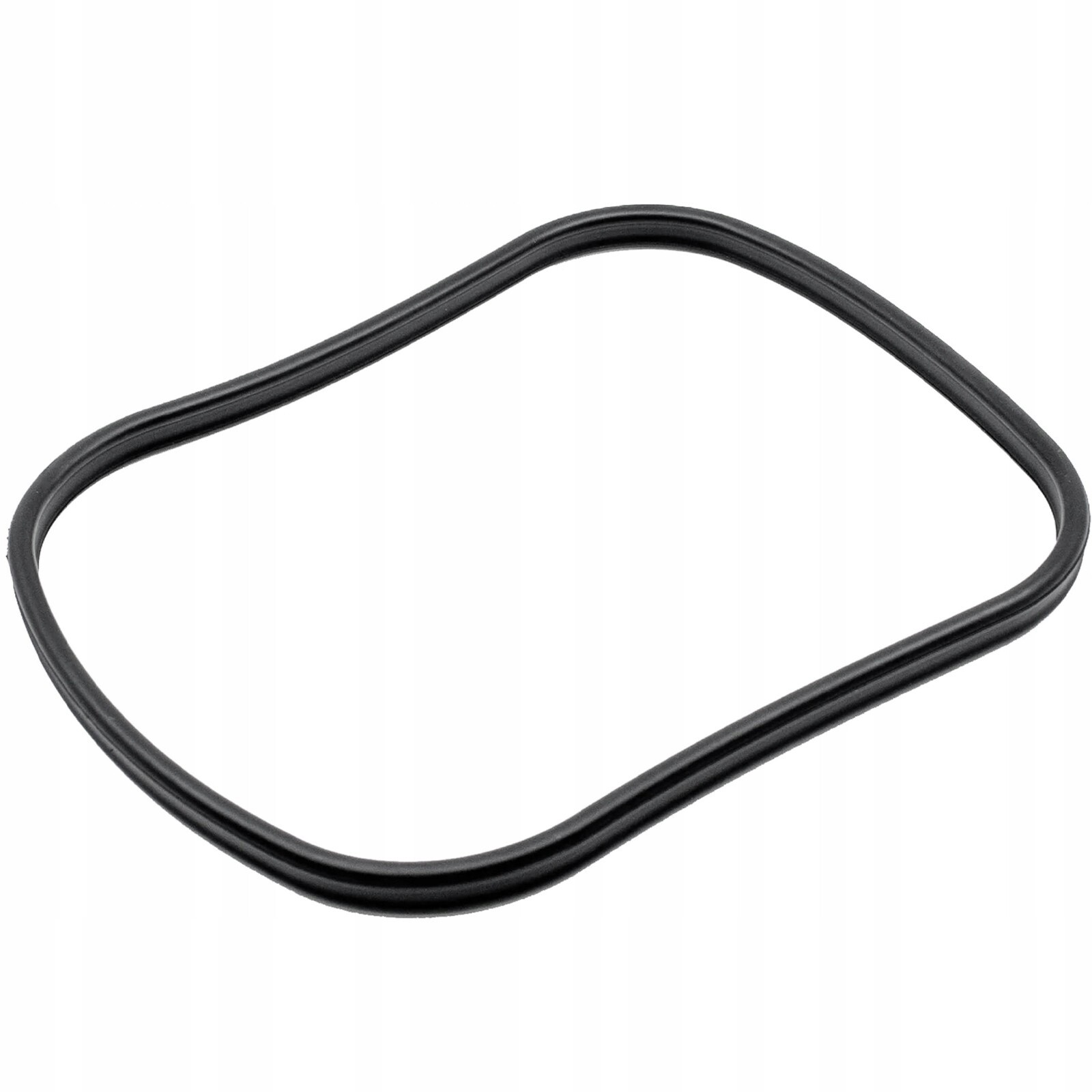 Náhradní Těsnění Víka Pro Vnější Filtr Biomaster Oring