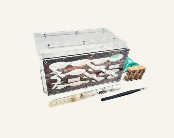 Sada Krystal pro chov mravenců z formikária Vzdělávací sada