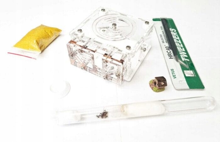 Sada Diamond pro chov mravenců z formikária Vzdělávací sada