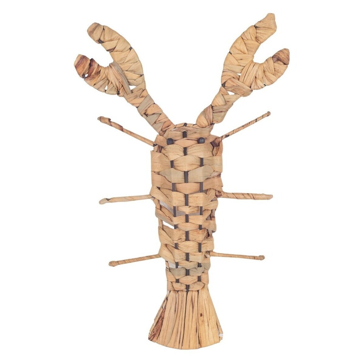 Signes Grimalt  Humr Wall Ornament  Hnědá