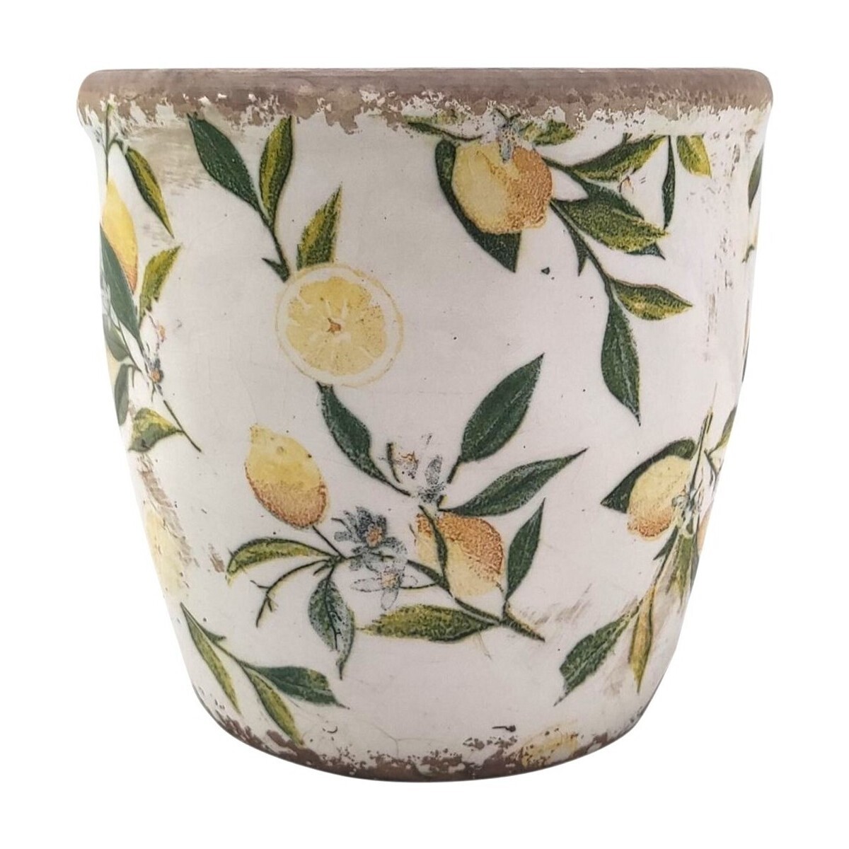 Signes Grimalt  Sázeč Citronů  Žlutá