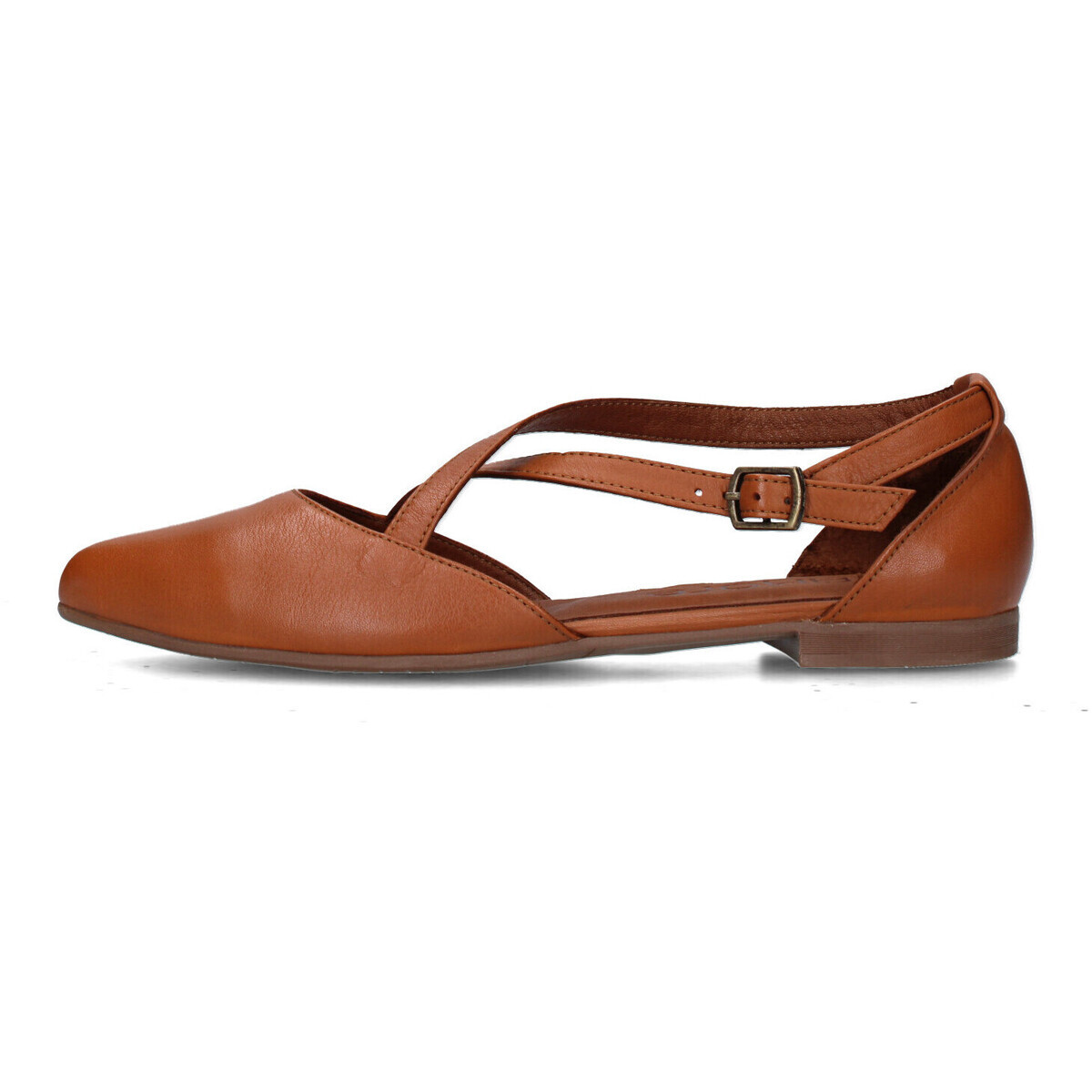 Camore  WE2901  Hnědá