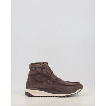 Gaimo  MARCEL.C  Hnědá