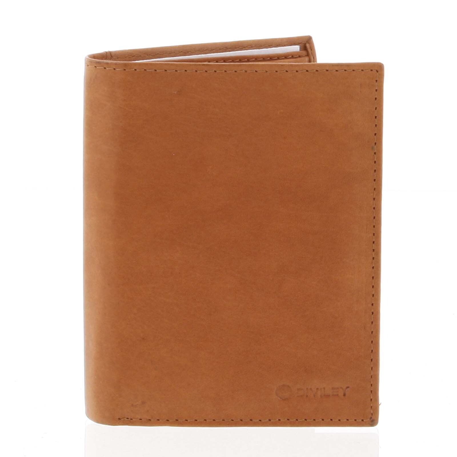 Pánská stylová peněženka ROGER, koňaková matná