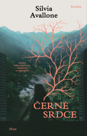 Černé srdce - Silvia Avallone - e-kniha