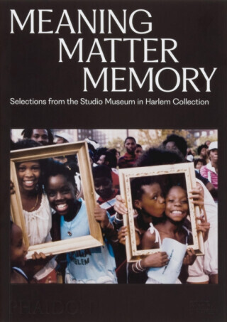 Meaning Matter Memory - Connie H. Choi, Thelma Golden, Mary Schmidt Campbell, Lowery Stokes Sims, Kinshasha Holman-Conwill