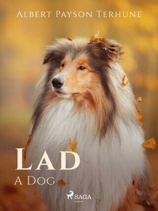 Lad: A Dog - Albert Payson Terhune - e-kniha