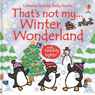 That's not my... Winter Wonderland - Fiona Watt