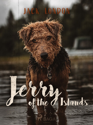 Jerry of the Islands - Jack London - e-kniha