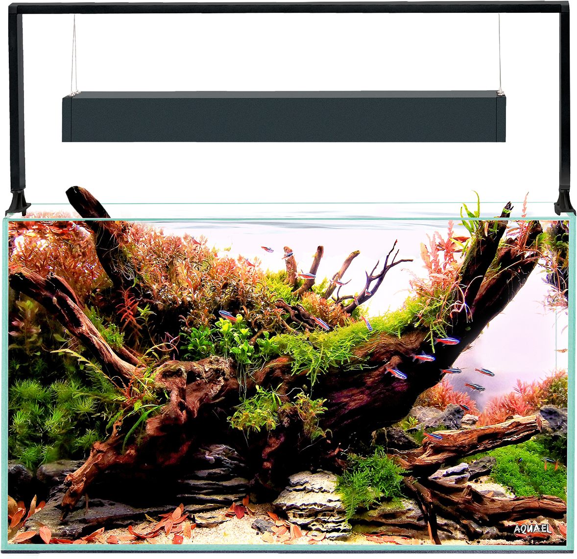 Akvarijní set Aquael Ultrascape 60 Forest 64,8l