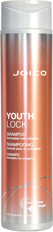Šampon pro unavené a poškozené vlasy YouthLock (Shampoo) Aveda - 1000 ml