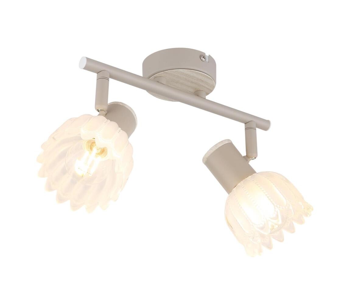 Globo 54317-2 - Bodové svítidlo PLANTA 2xE14/40W/230V 54317-2