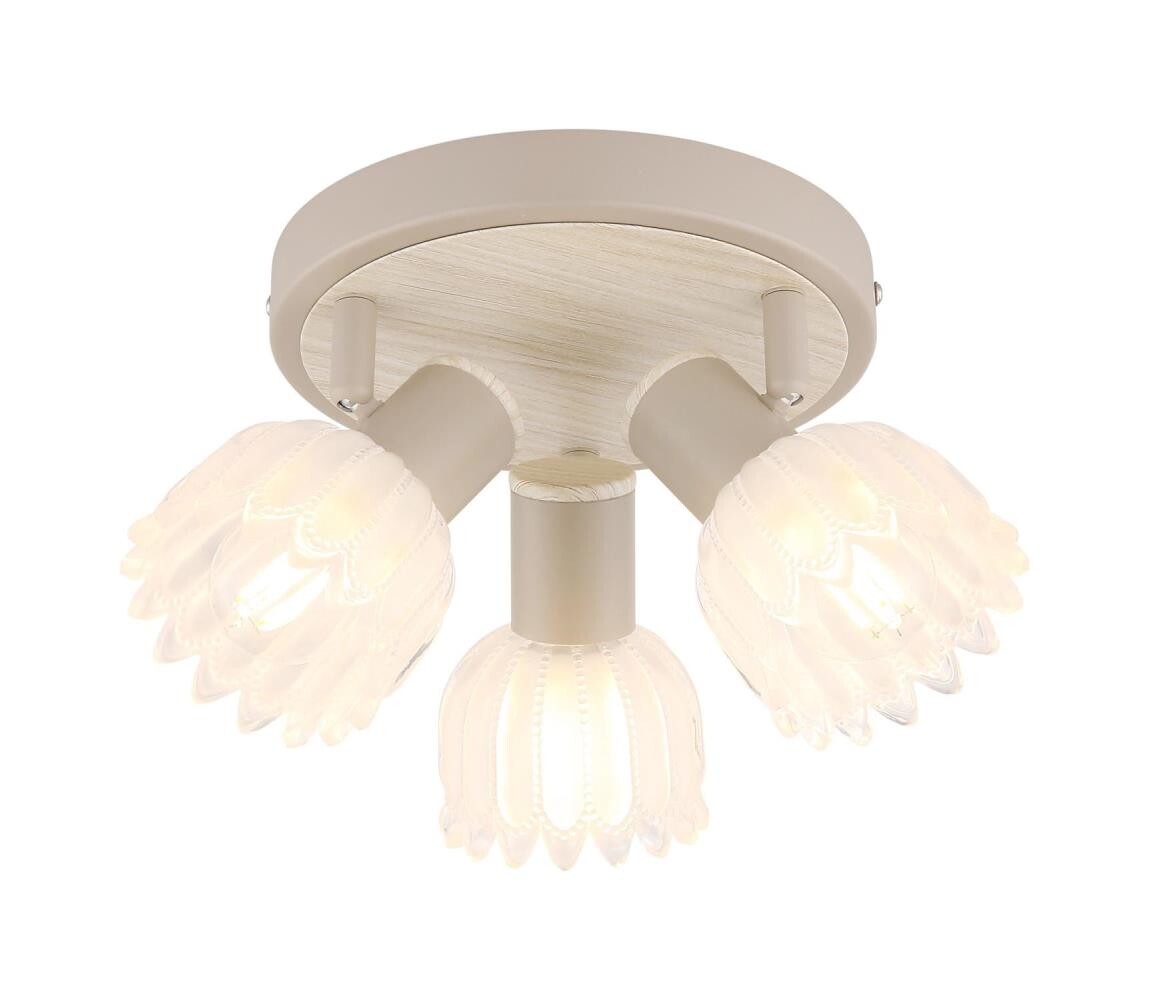 Globo 54317-3 - Bodové svítidlo PLANTA 3xE14/40W/230V 54317-3