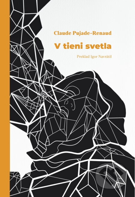 V tieni svetla - Claude Pujade-Renaud