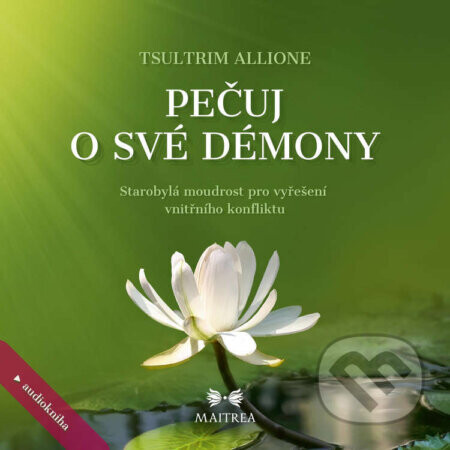 Pečuj o své démony - Tsultrim Allione