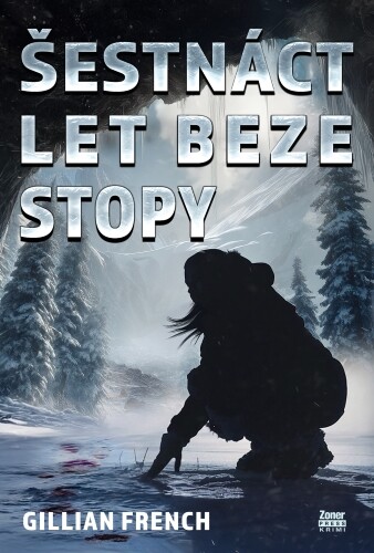 Šestnáct let beze stopy | FRENCH, Gillian