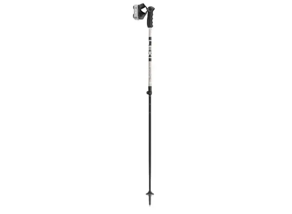 Leki Detect S Vario sjezdové hole Warm Grey Light/Warm Grey Dark/Black 110-140 cm
