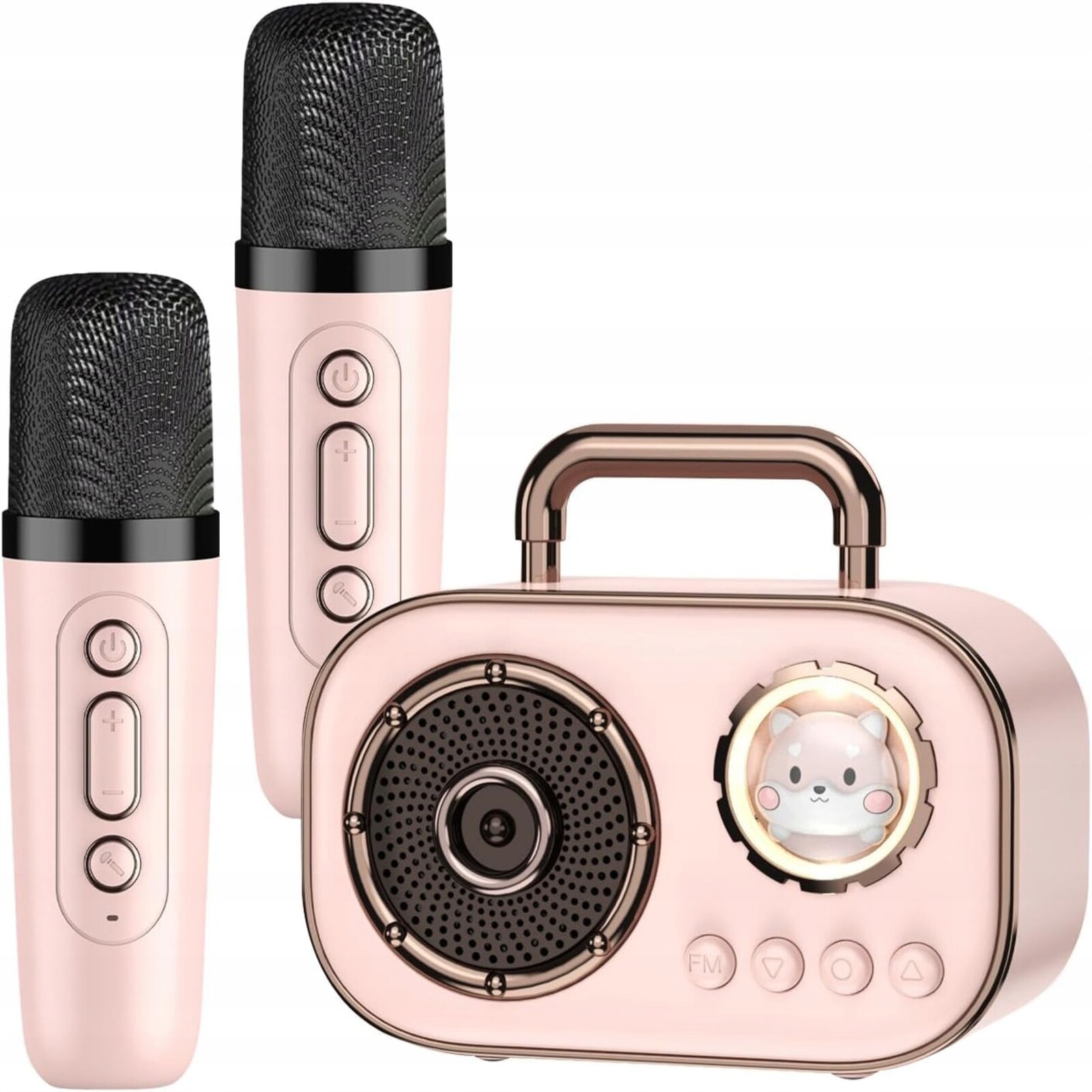 Sada pro karaoke Amt AMT-DZ015 Fm rádio, dva mikrofony, modulace hlasu