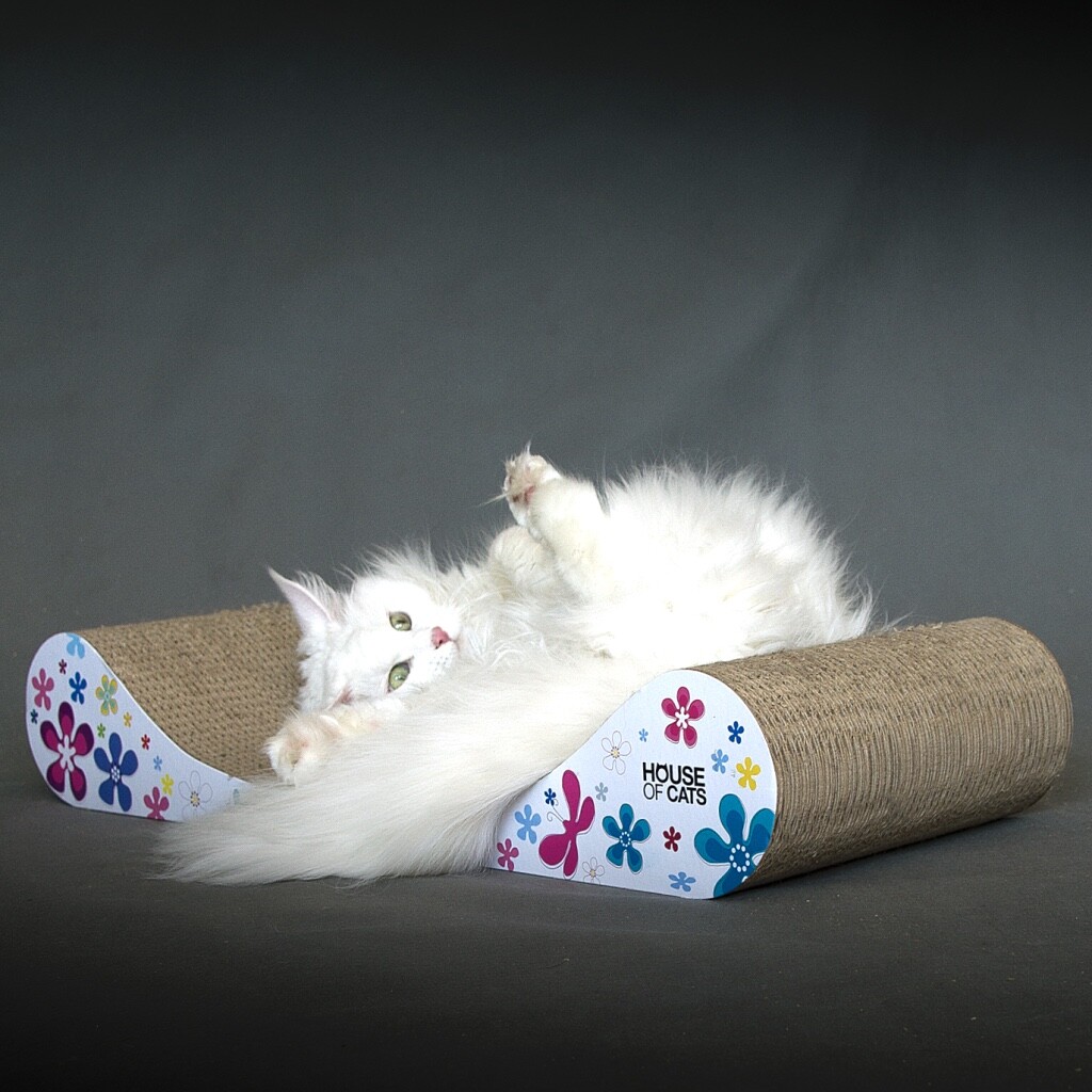 Kartonové škrabadlo a škrabadlo od House of Cats