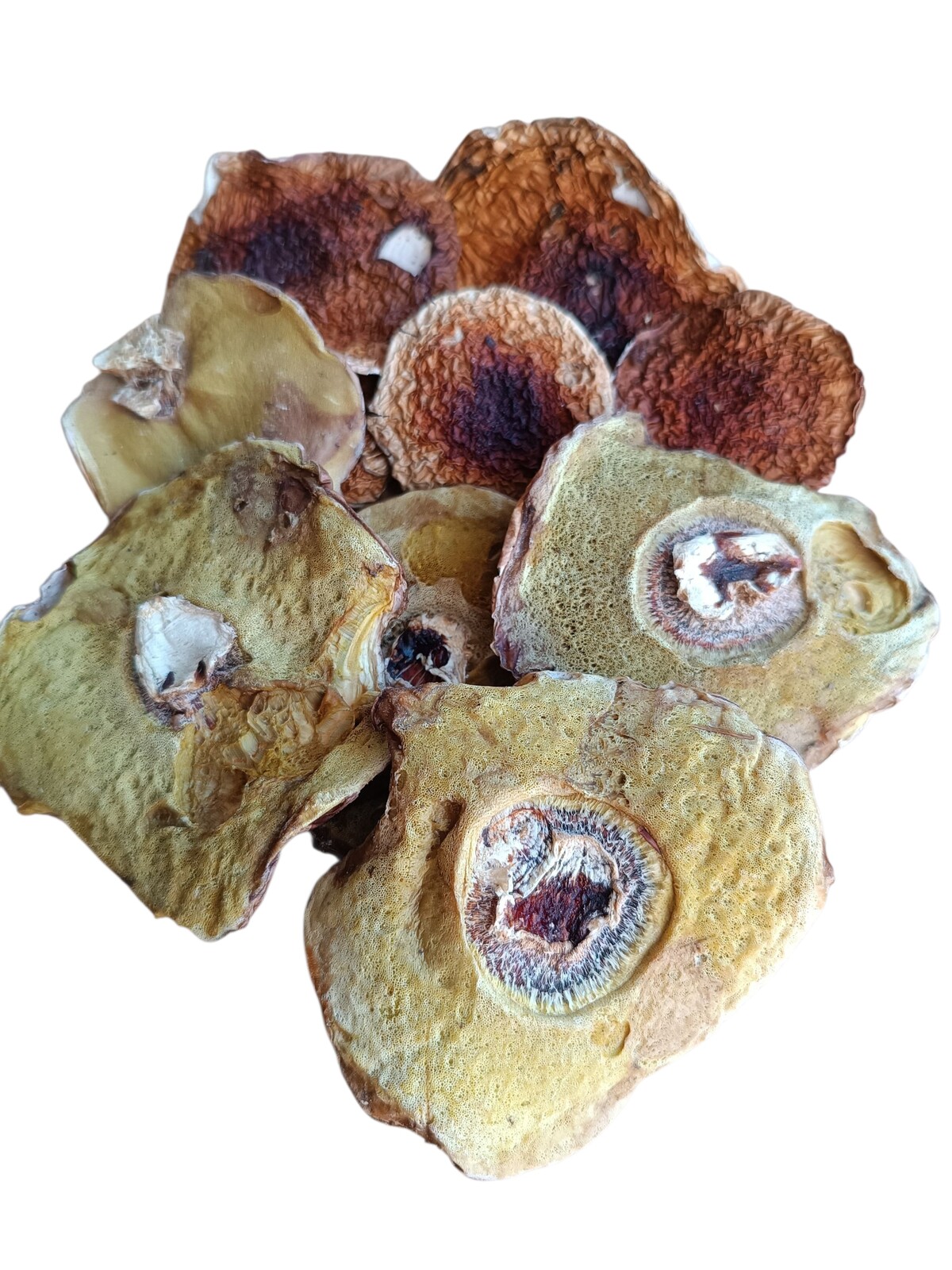 Borovic žlutý Houby Sianko Bonus Sušené Pravdičky 500g klobouky Atest