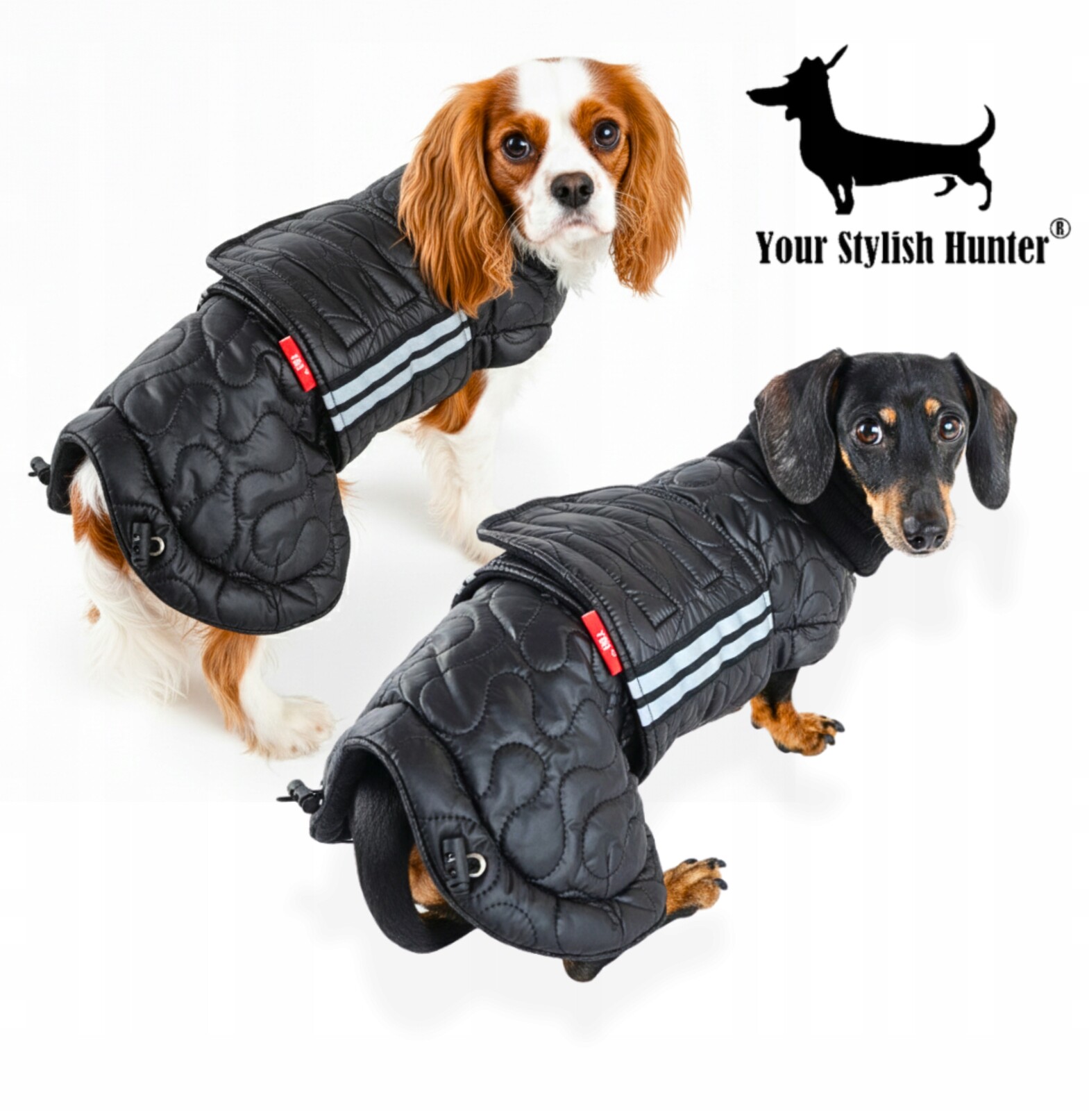 Zimní bunda pro psa, teplé nepromokavé oblečení pro psy středních plemen 2XL