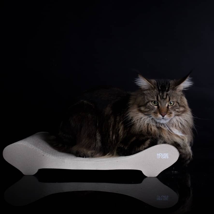 pelíšek škrabadlo pro pro kočky od House of Cats