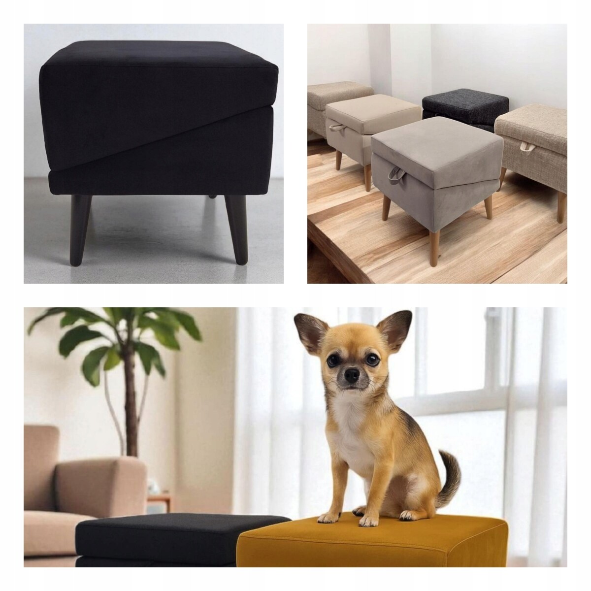 Taburet Pro Psa, Rampa Pro Kočky Plošina Schody