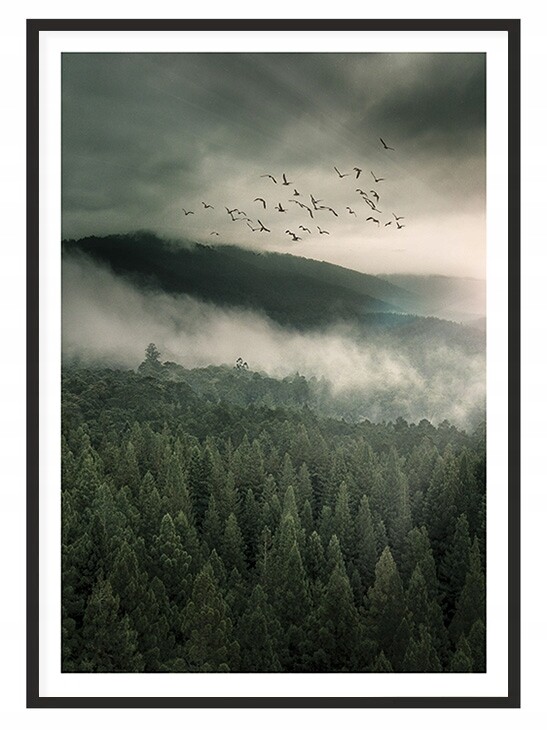 Obraz Plakát V Rámu 53x73 cm Hory P2017