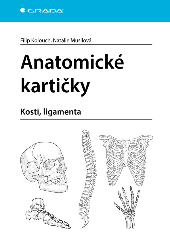 E-kniha: Anatomické kartičky od Kolouch Filip