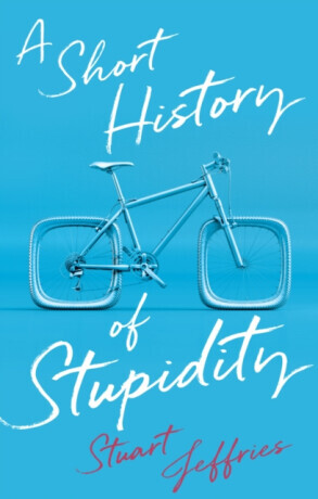 A Short History of Stupidity - Stuart Jeffries