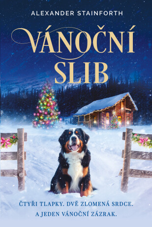 Vánoční slib - Alexander Stainforth - e-kniha
