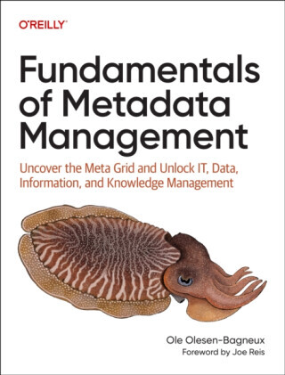 Fundamentals of Metadata Management - Ole Olesen-Bagneux