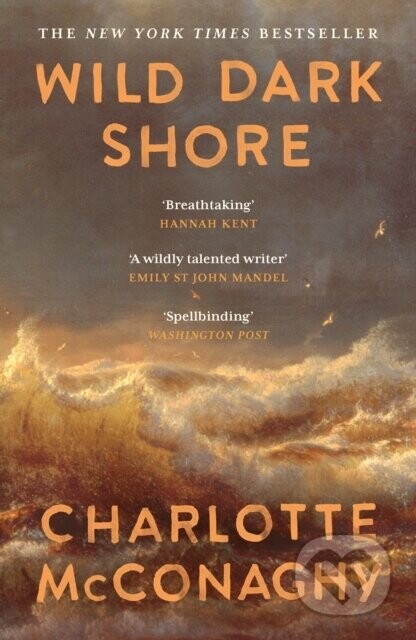 Wild Dark Shore - Charlotte Mcconaghy
