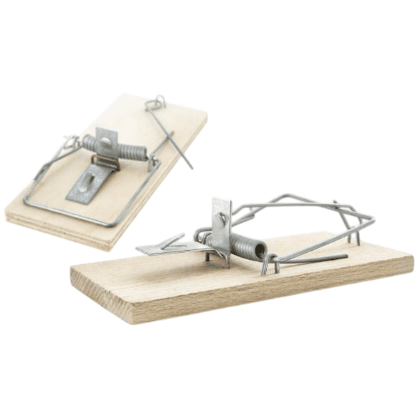 Papírna Moudrý Past na myši, klasická, 1 kus