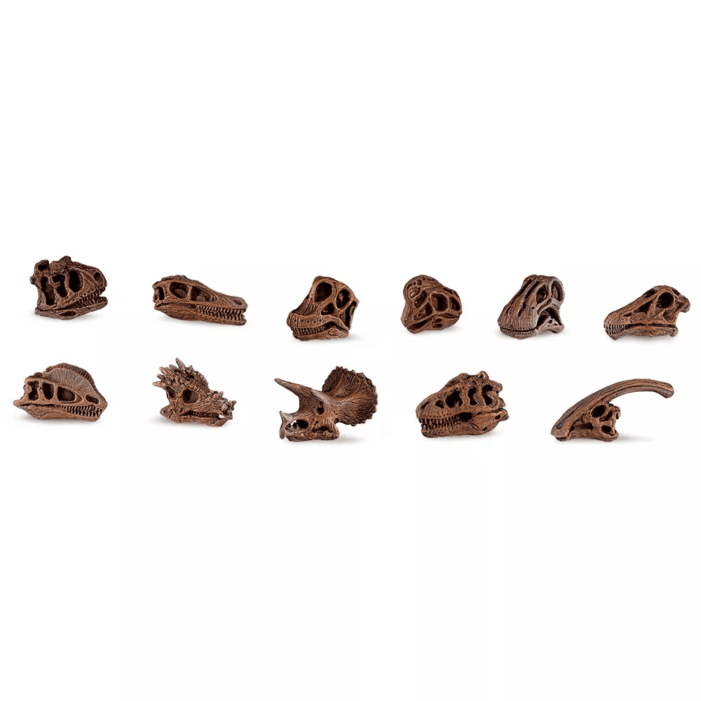 Safari Ltd. Safari Ltd. Dinosauří lebky