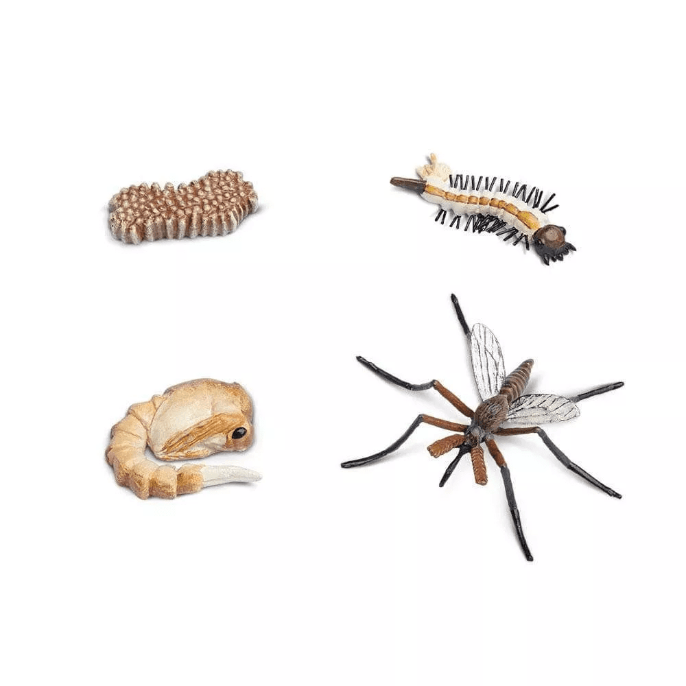 Safari Ltd. Safari Ltd. Životní cyklus - Komár