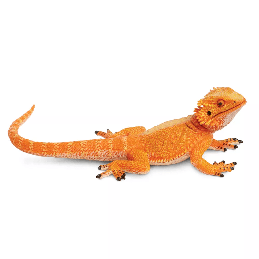 Safari Ltd. Safari Ltd. Figurka - Agama vousatá
