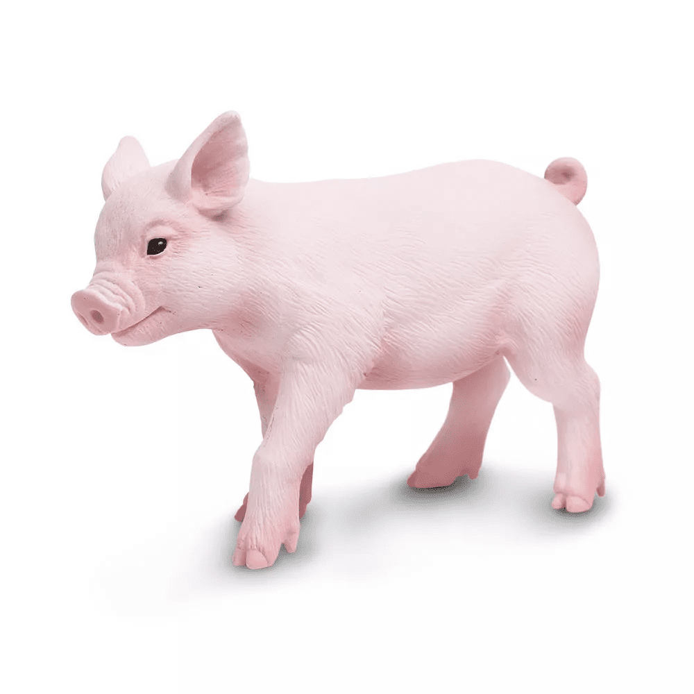 Safari Ltd. Safari Ltd. Sele