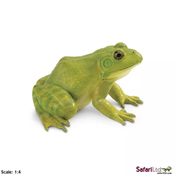 Safari Ltd. Safari Ltd. Skokan volský