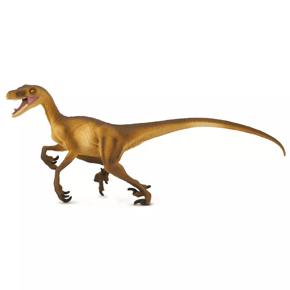 Safari Ltd. Safari Ltd. Velociraptor